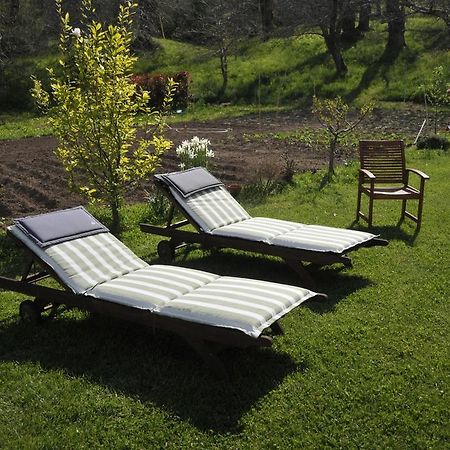 B&B Il Castagneto Баньореджо Номер фото