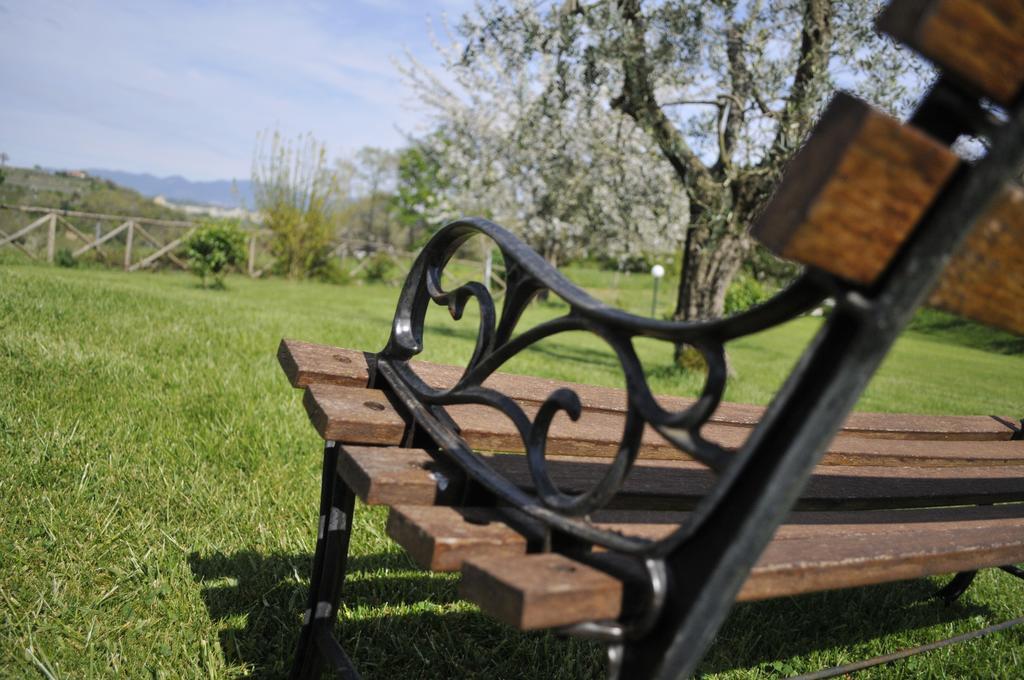 B&B Il Castagneto Баньореджо Номер фото